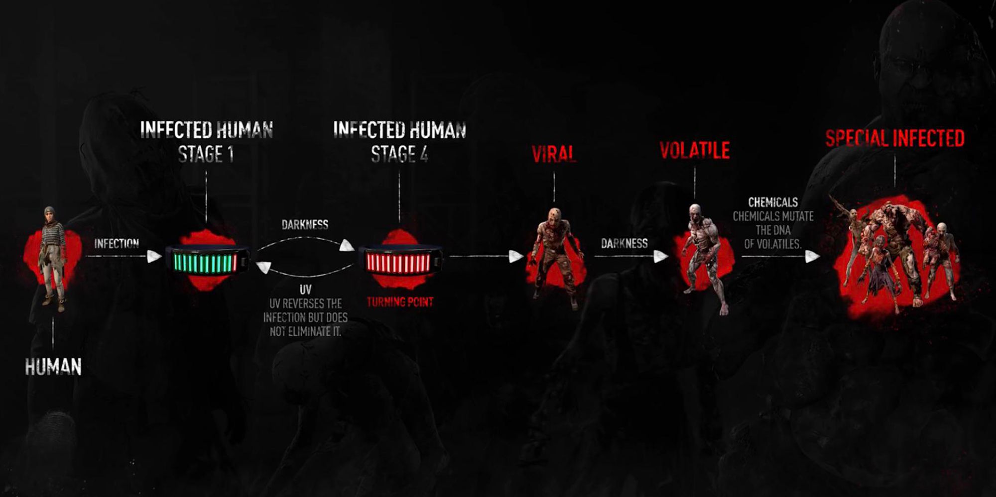 Dying Light 2 - Official Dev Infographic Showing Life Cycle Of DL2 Infected