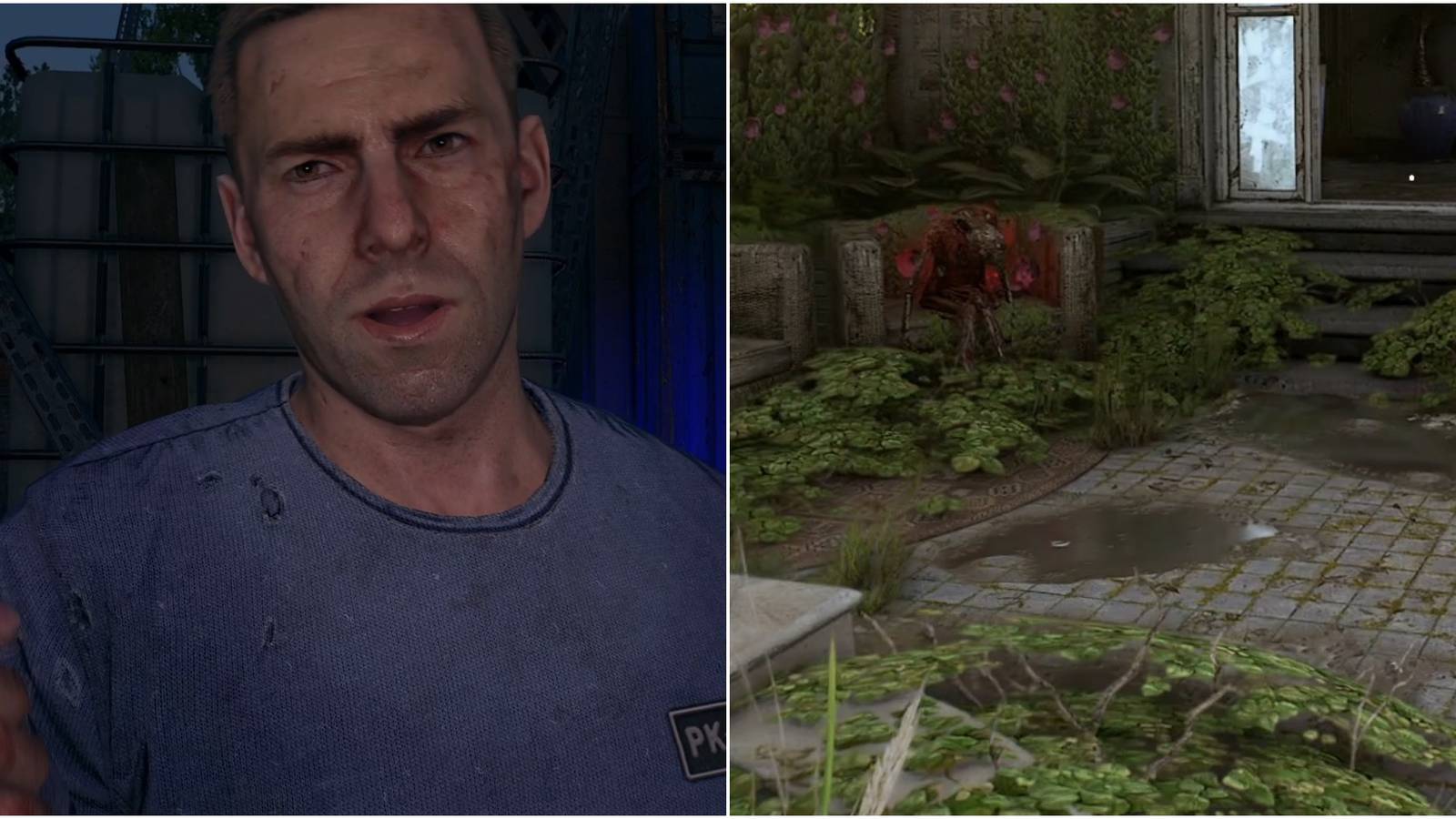 Dying Light 2 Glass House Flower Delivery Collage PK 77 And Inside