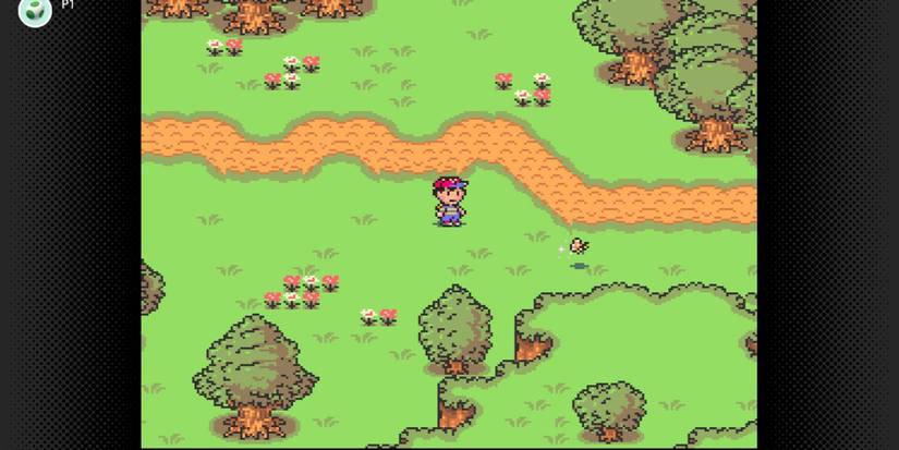 Earthbound Ness chasing a Butterfly