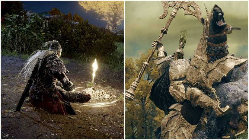 Elden RIng Split Image Reap The Rewards