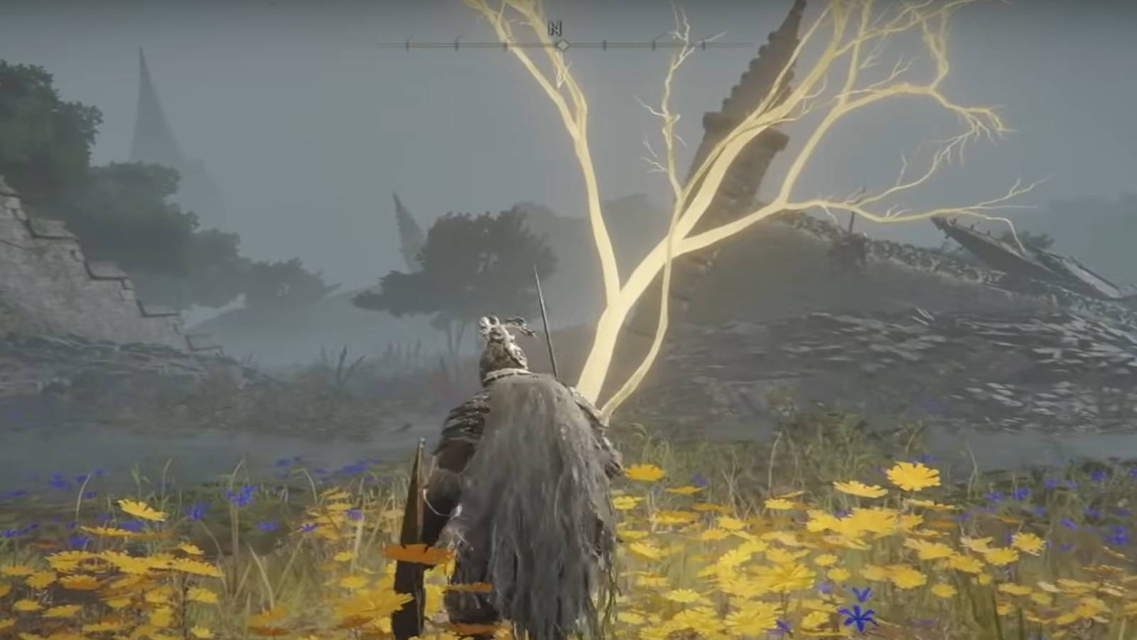 Elden Ring Golden Seed