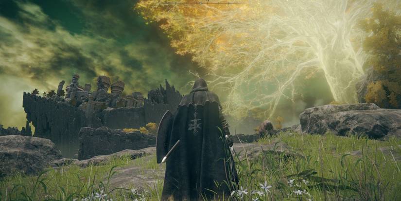 Elden Ring How To Run Guide Erdtree Feature View