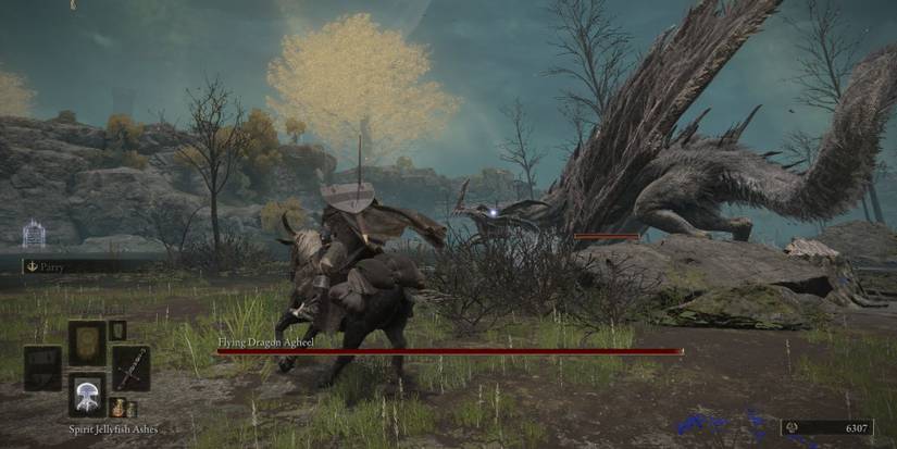 Elden Ring Mounted Combat Overview Guide Torrent Agheel Combat Boss