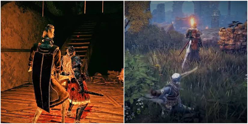 Elden Ring Split Image Benefits Of Stealth
