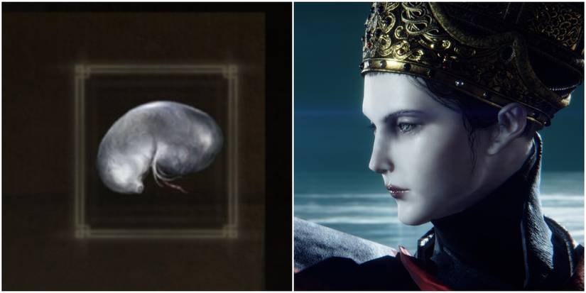 Elden Ring Split Image How To Respec