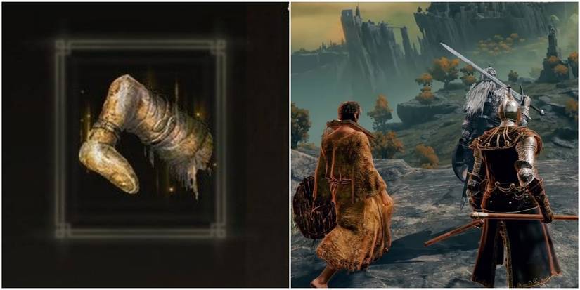 Elden Ring Split Image Summon Friends