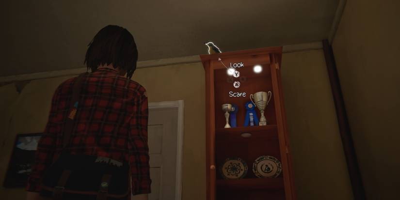 Max looking at a bird on top of a tall cabinet in Chloe's house, during Episode 3 of Life is Strange Remastered