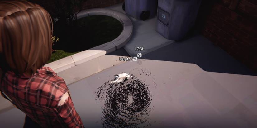 Max looking at ants forming a swirl around a dead bird on the ground, outside the Two Whales Diner, during Episode 3 of Life is Strange Remastered