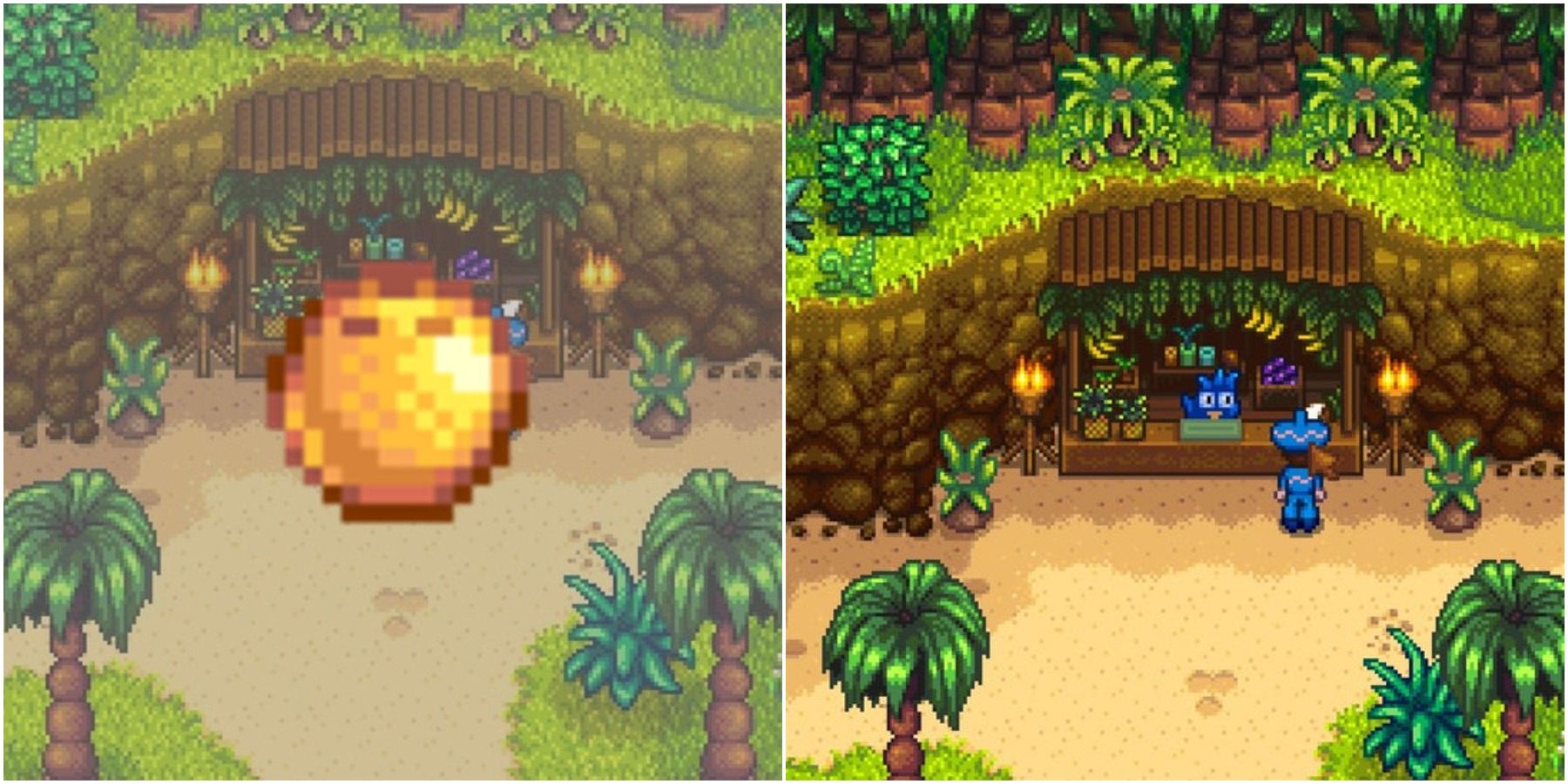 Featured image for Golden Coconuts guide