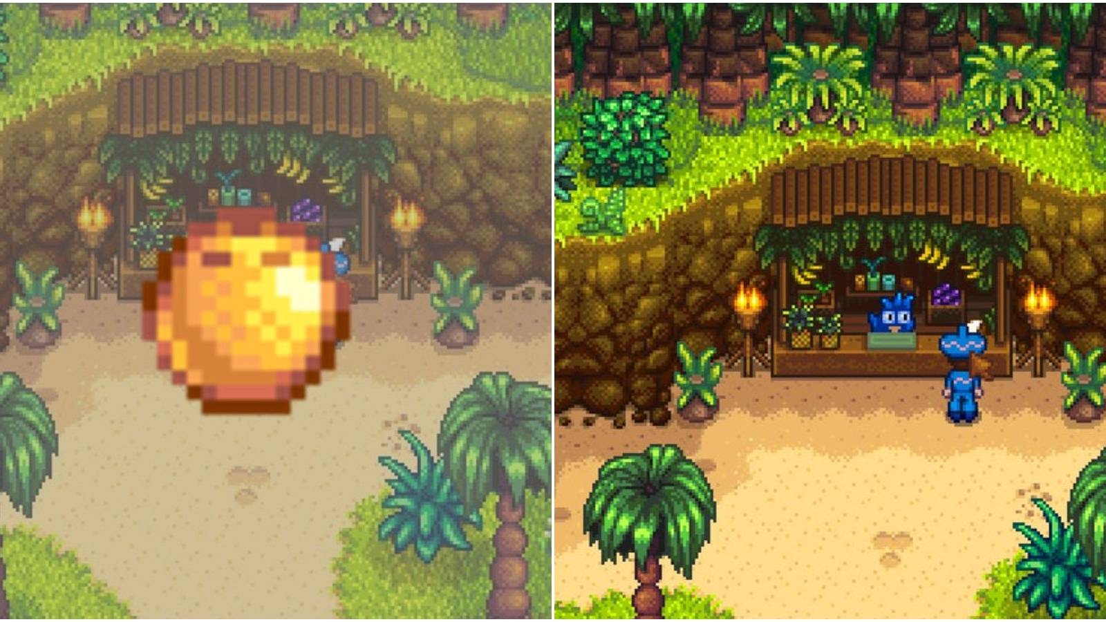 golden coconuts in stardew valley