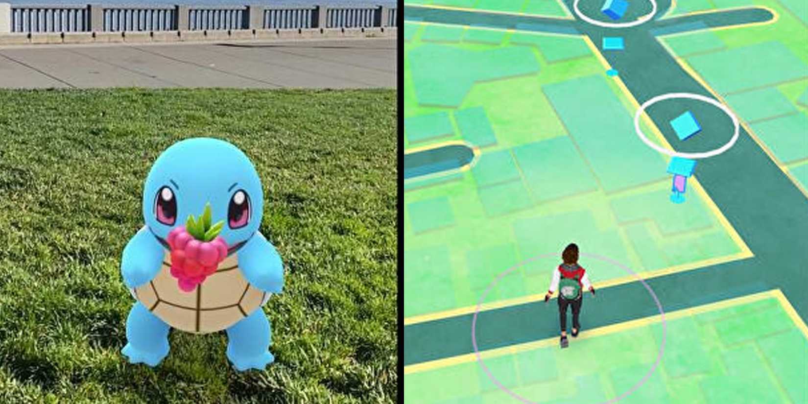 Feeding Berries to a Buddy in Pokemon GO