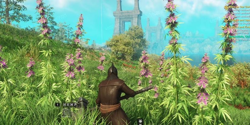 Getting Hemp in New World