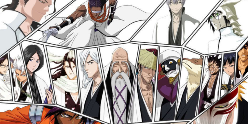 The Gotei 13 Shinigami