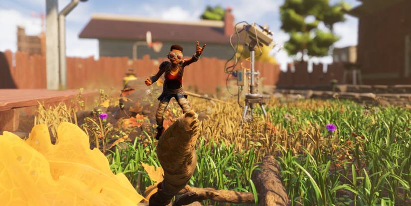 Grounded-Overlooking-Yard-1