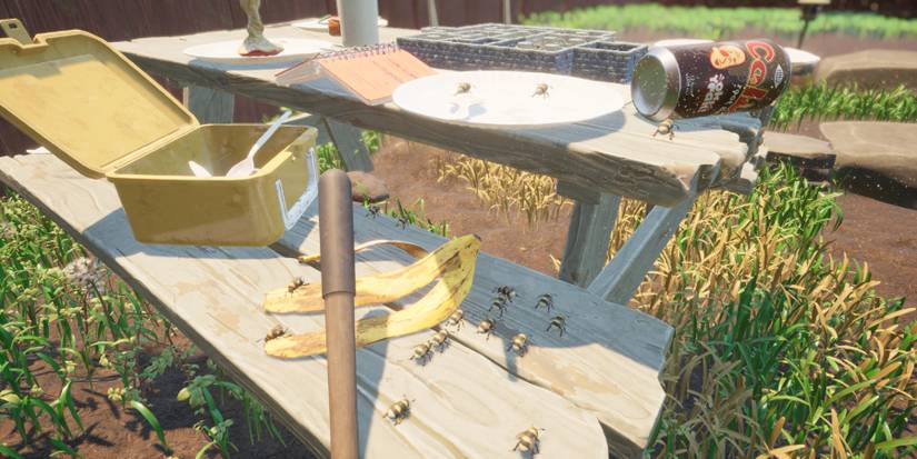 Grounded Picnic Table