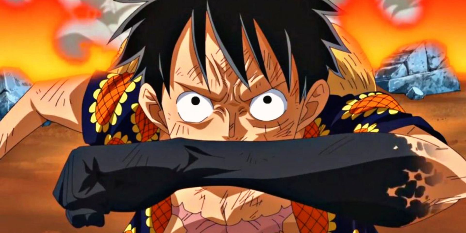Haki Importance One Piece