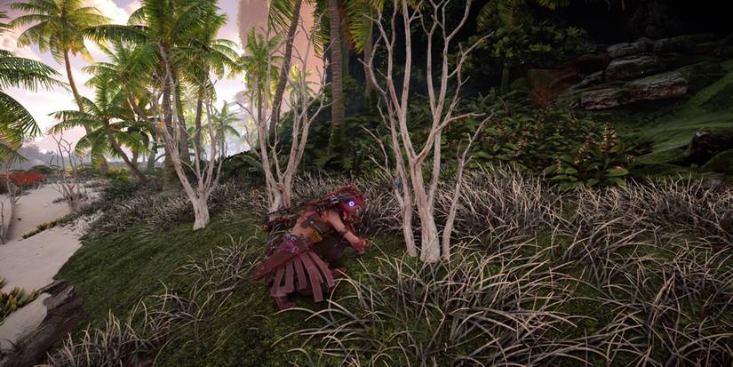 Gathering materials in Horizon: Forbidden West