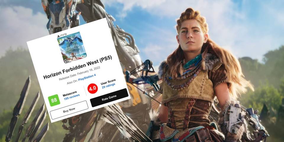 horizon review
