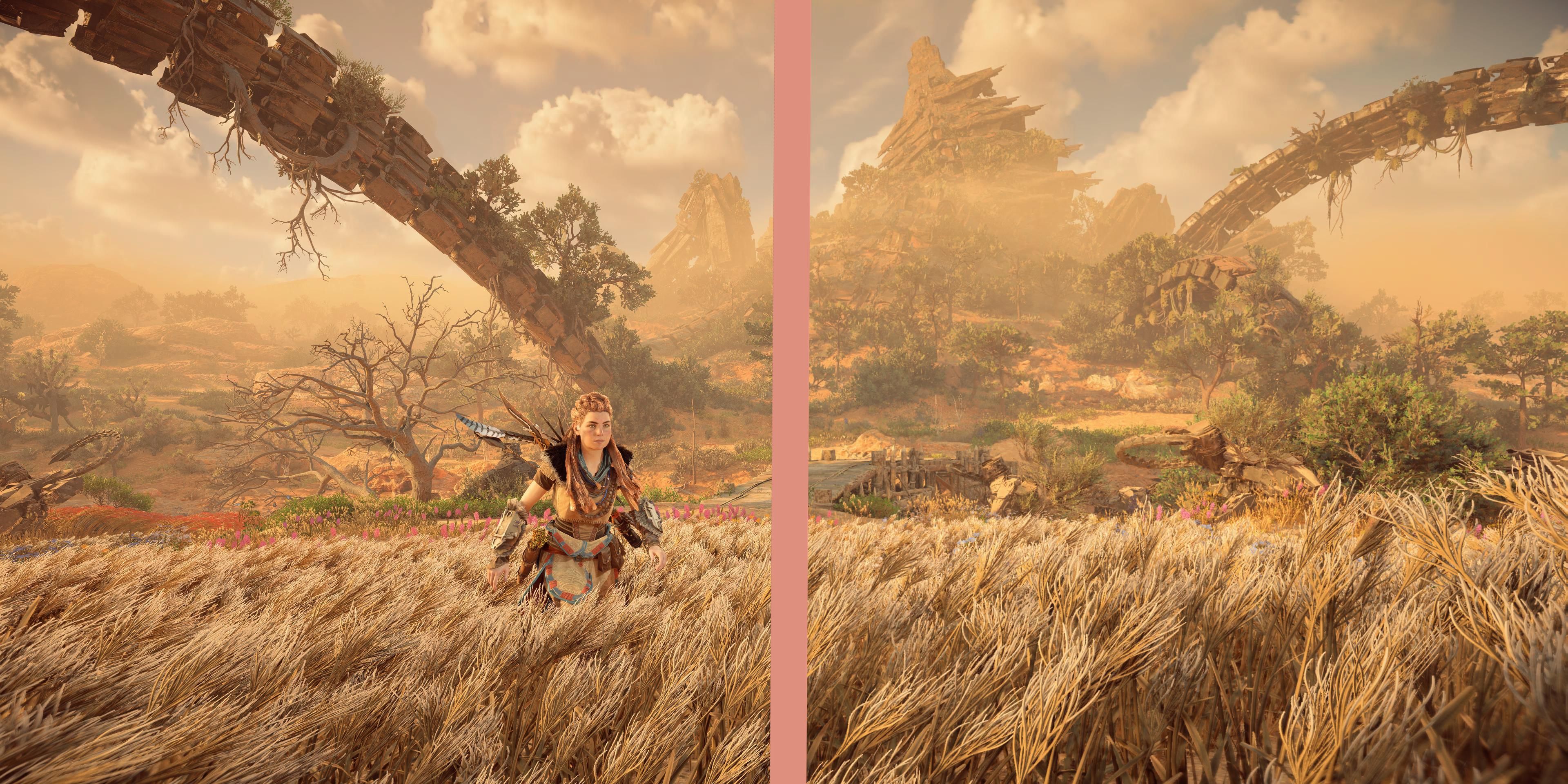 Horizon Forbidden West-resolution-side-by-side-grass-field-horus