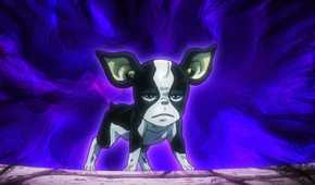 Iggy in Stardust Crusaders