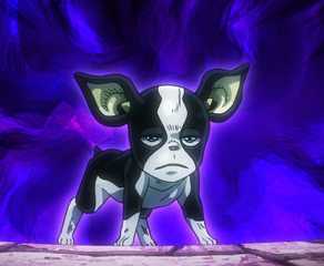 Iggy in Stardust Crusaders
