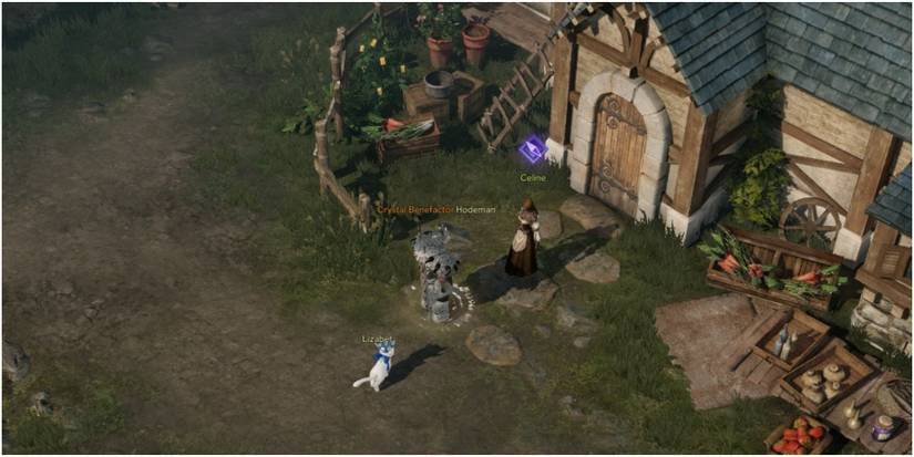 Lost Ark Getting A Training Mission From Celine