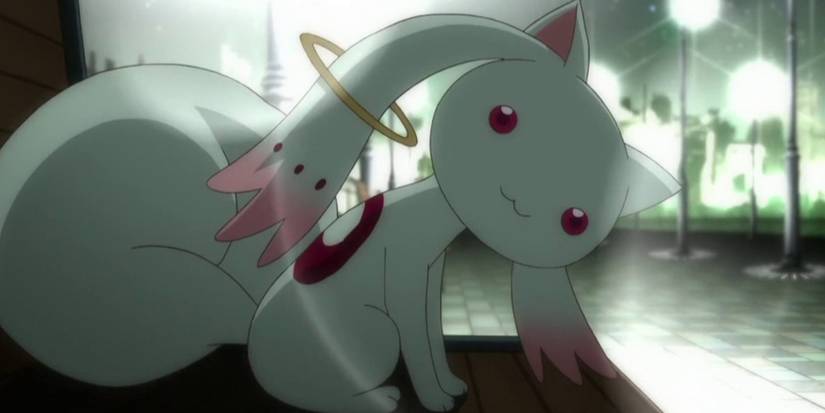 Madoka Magika - Kyubey With Its Head Tilted Looking Toward The Camera