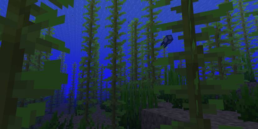 Minecraft Kelp In An Ocean