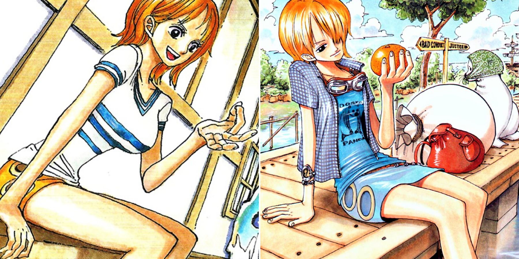 Cool Details You Might Have Missed About Nami's Clothes In One Piece