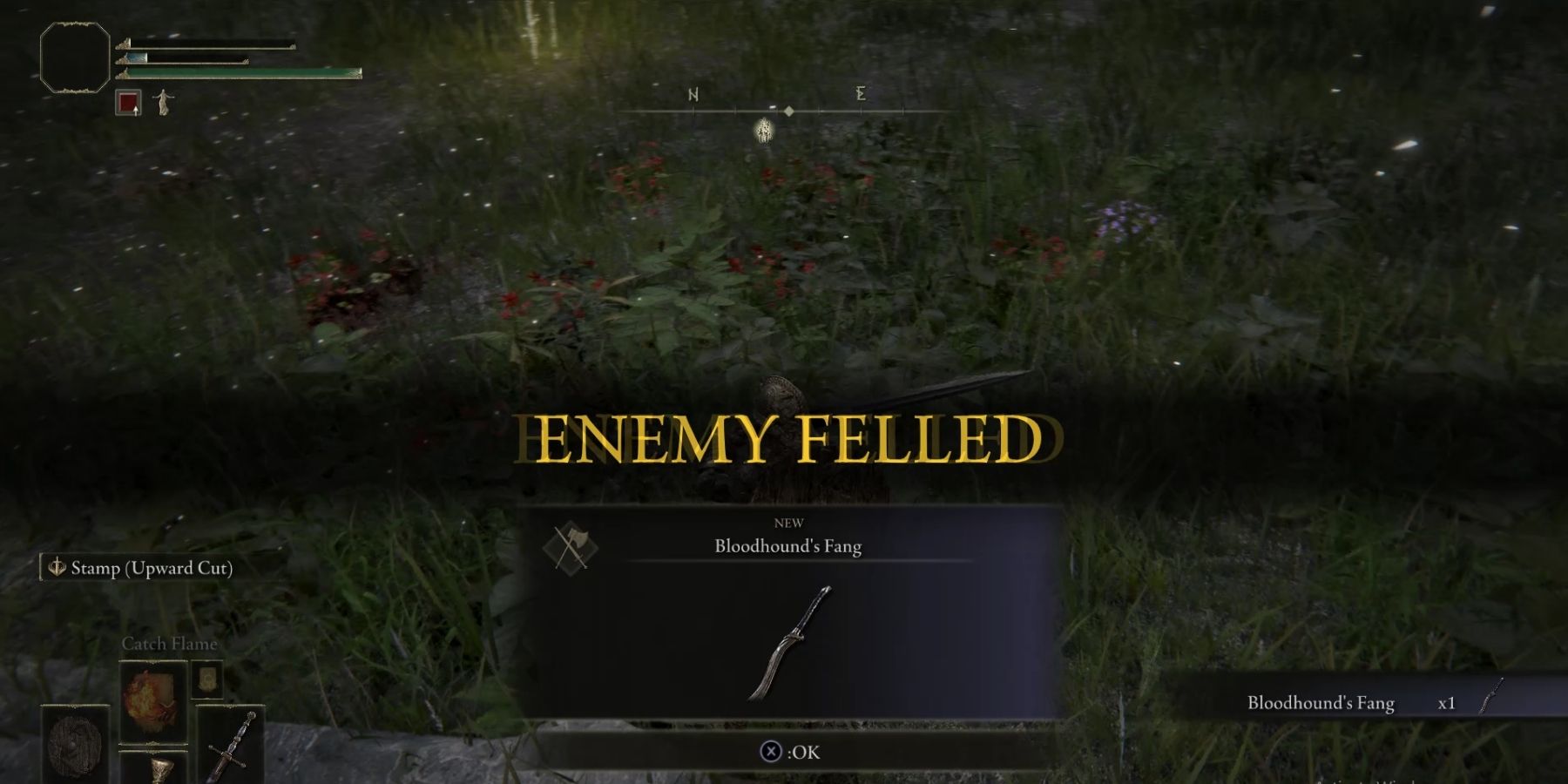Obtaining the Bloodhound's Fang in Elden Ring