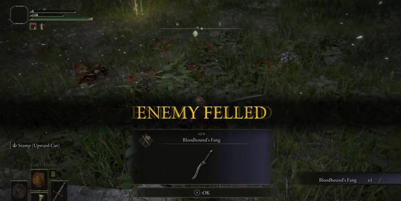 Obtaining the Bloodhound's Fang in Elden Ring