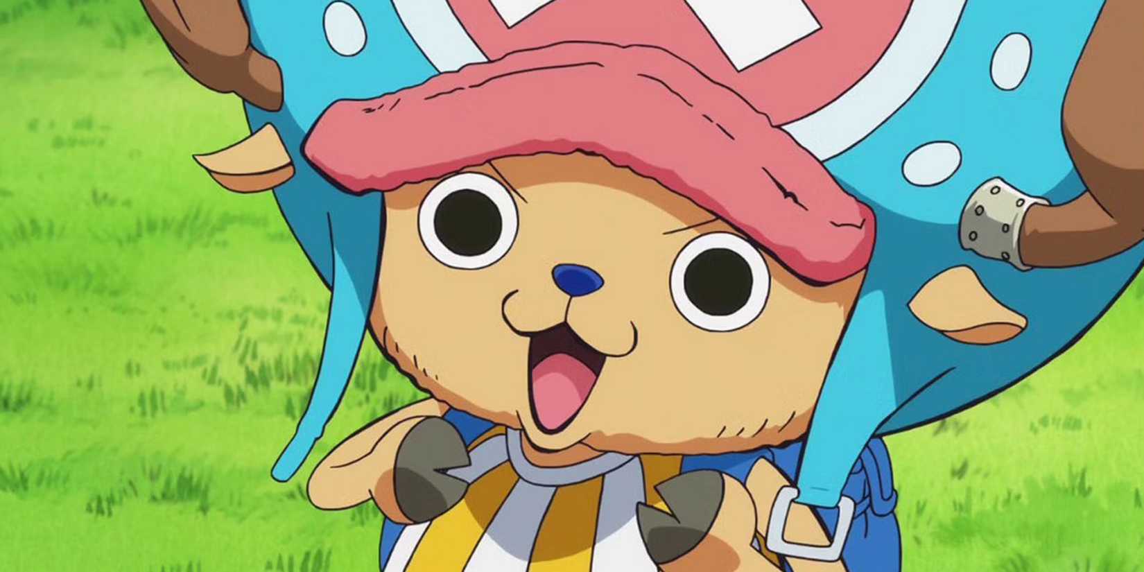One Piece - Tony Tony Chopper Looking Excitedly Up Toward The Camera