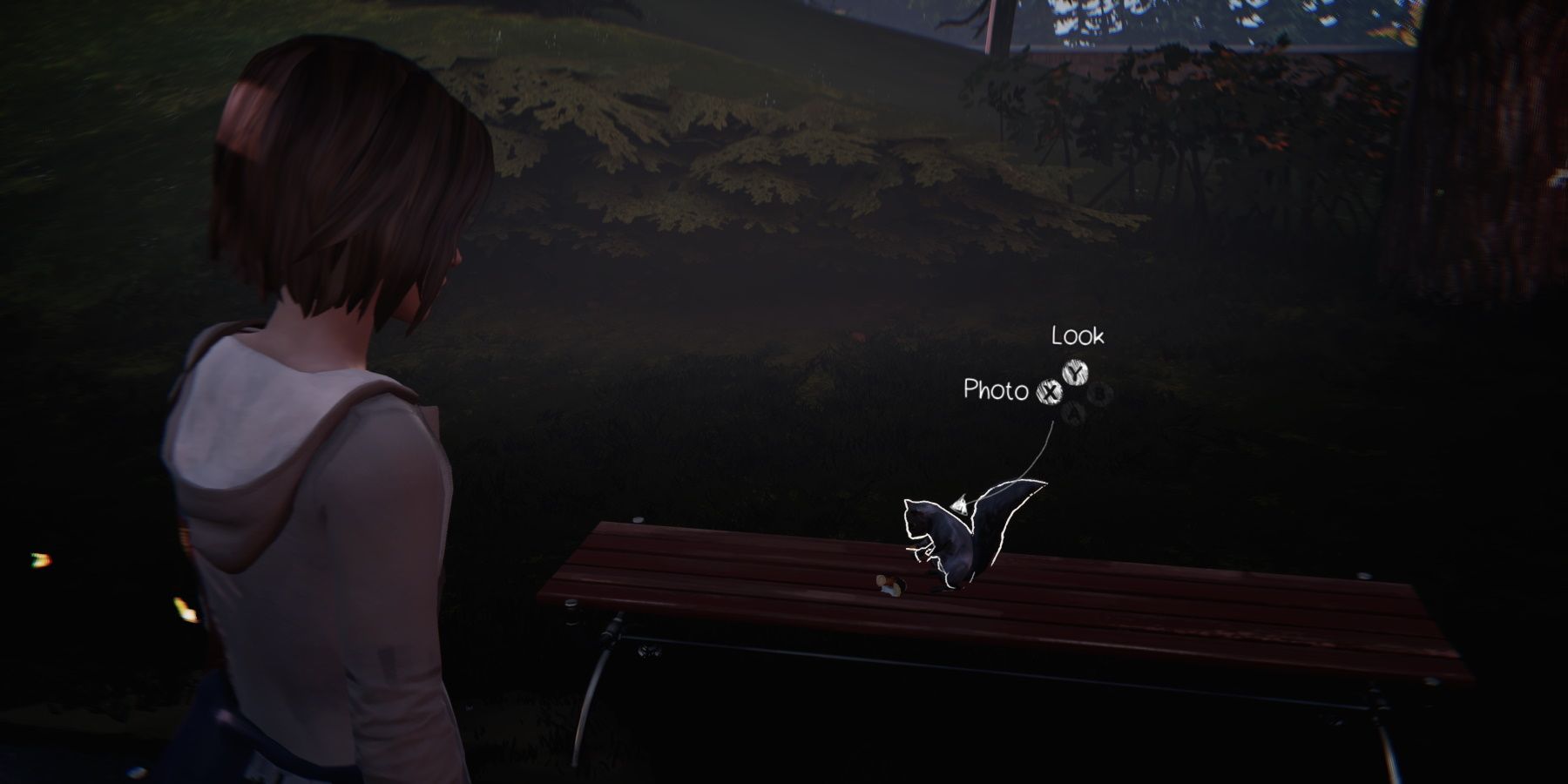 Max looking at squirrel on a bench in epsidoe 2 of life is strange