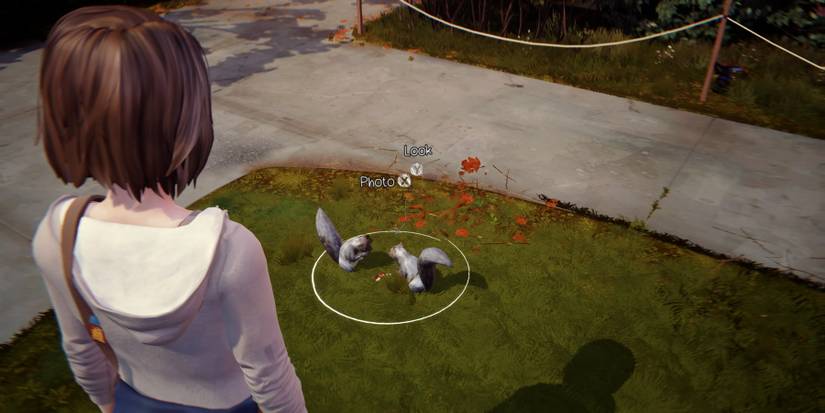 Max looking at squirrels outside of girls' dormitory during episode 4 of Life is Strange Remastered