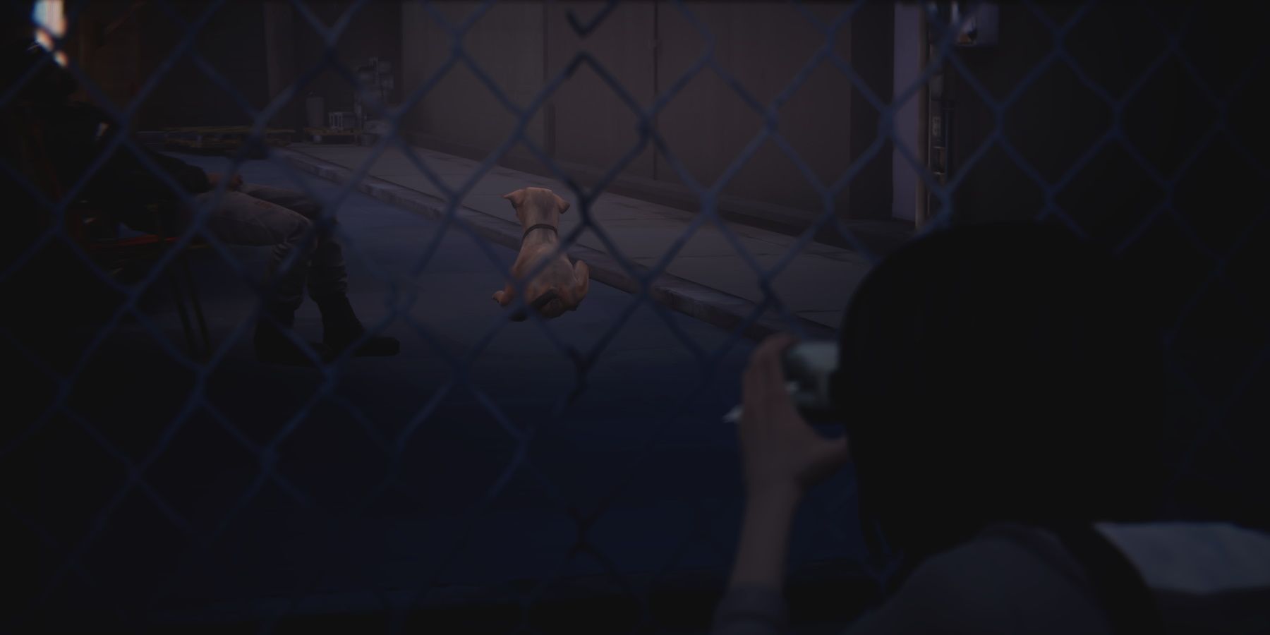 Max taking a photo of Frank's dog through a fence in episode 2 of Life is Strange
