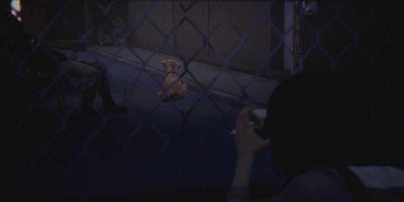 Max taking a photo of Frank's dog through a fence in episode 2 of Life is Strange
