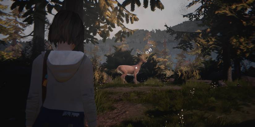 Max looking at deer in yunkyard of episode 2 in life is strange remastered