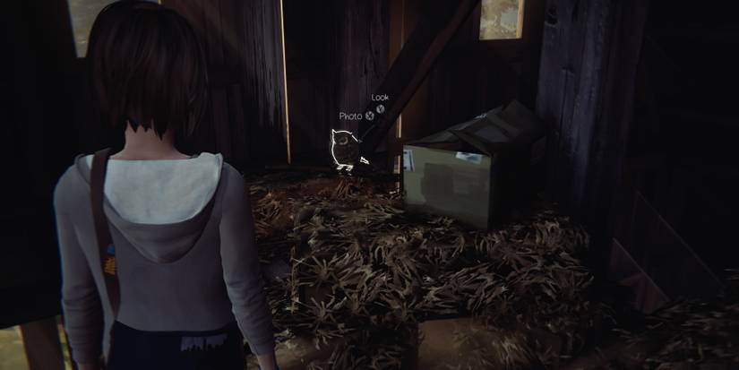 Max looking at owl inside of a barn during episode 4 of Life is Strange Remastered