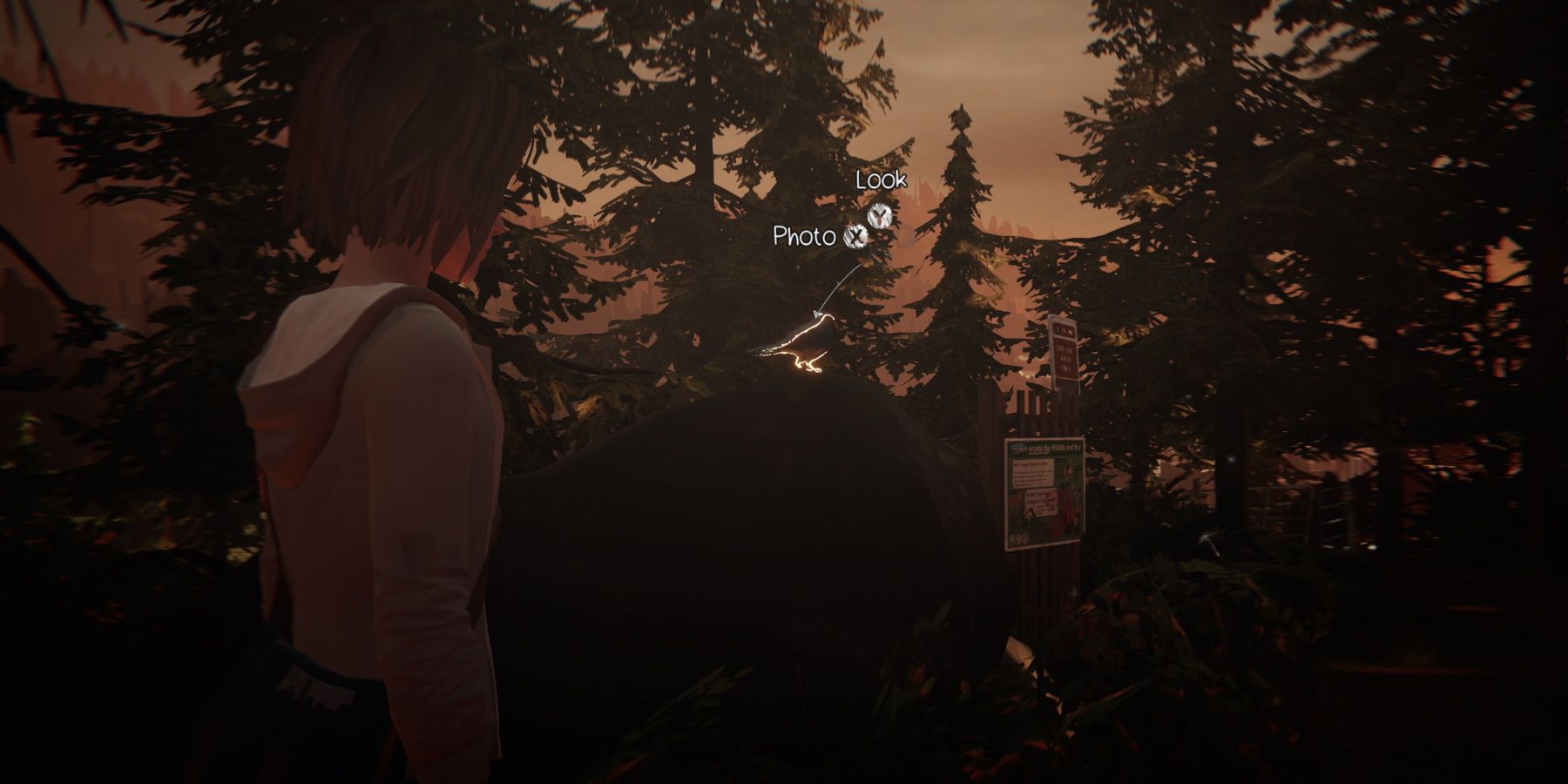 Chloe looking at saved bord in episode 1 of life is strange