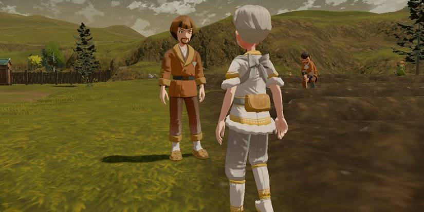 Jubilife Village farm.