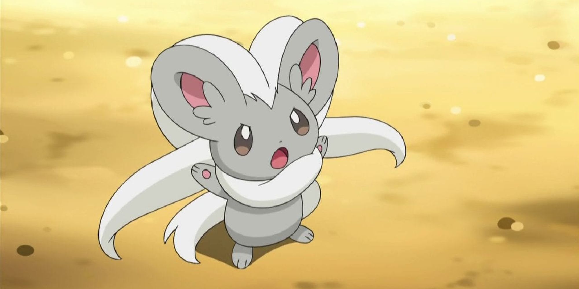 Cinccino on the field for a Pokemon battle in the anime