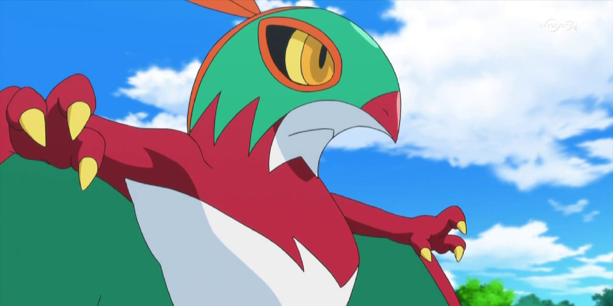Hawlucha assuming a fighting stance in the anime