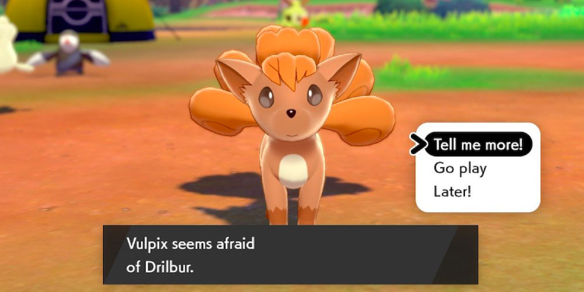 A player talking to their Vulpix in Pokemon Camp in Sword & Shield