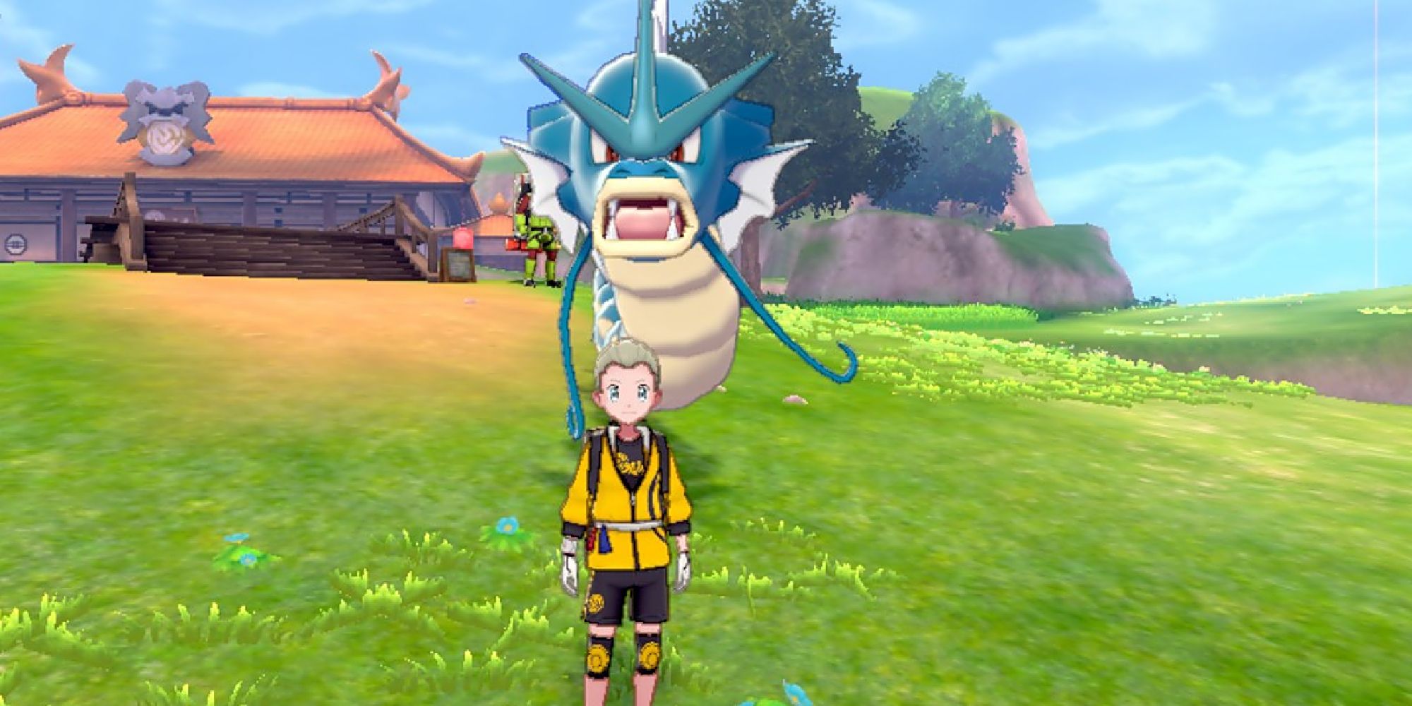 A Gyarados following a player in Pokemon Sword & Shield