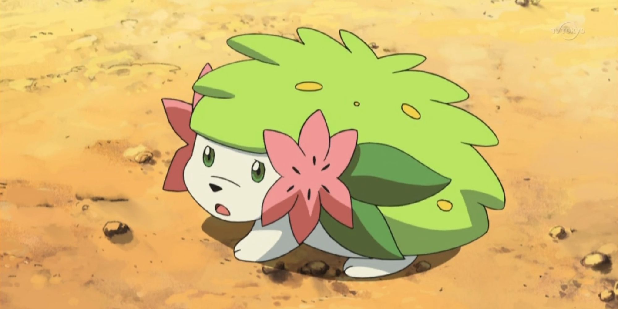 Shaymin on the ground, looking frightened