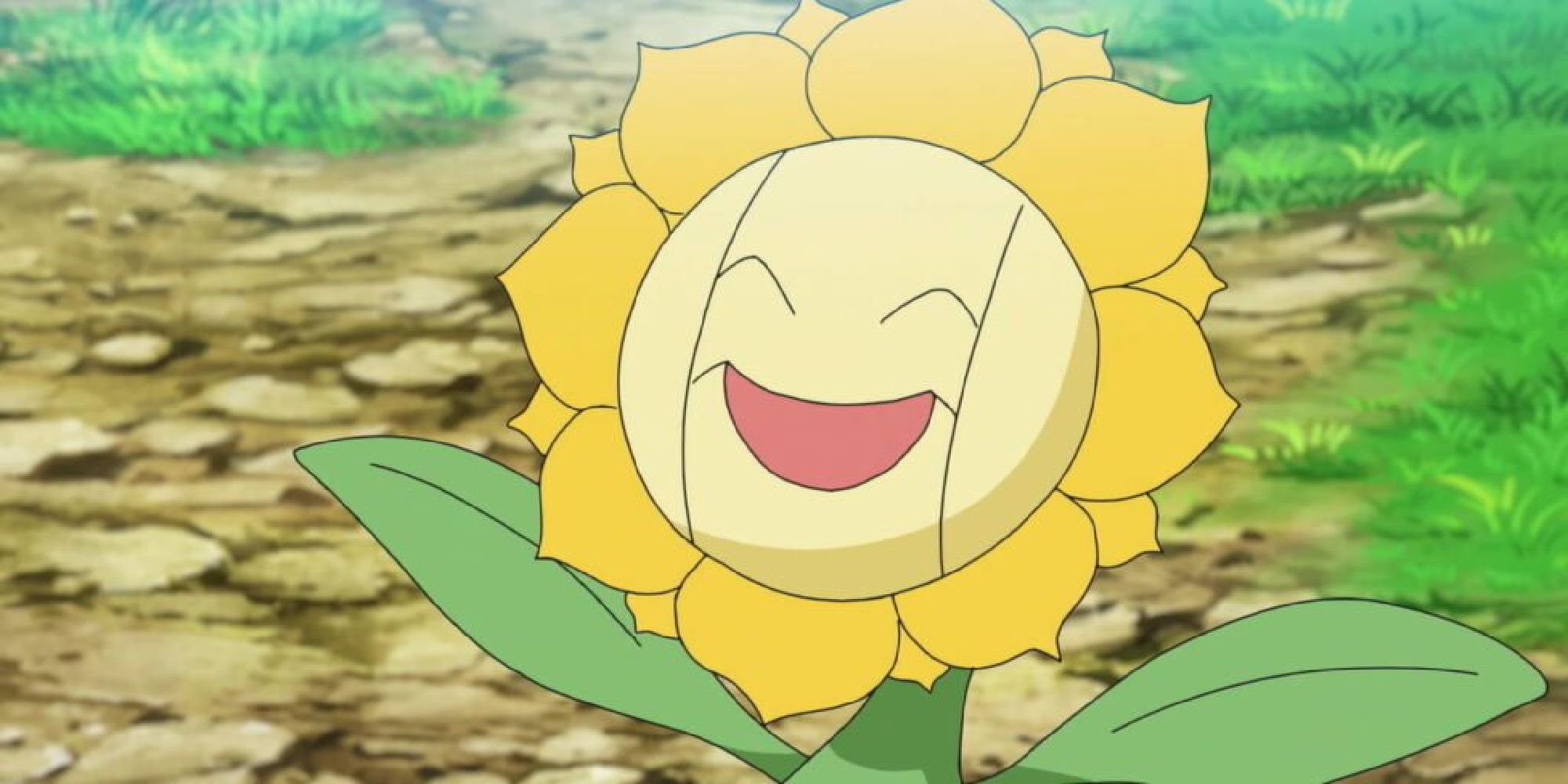 Sunflora smiling in the anime
