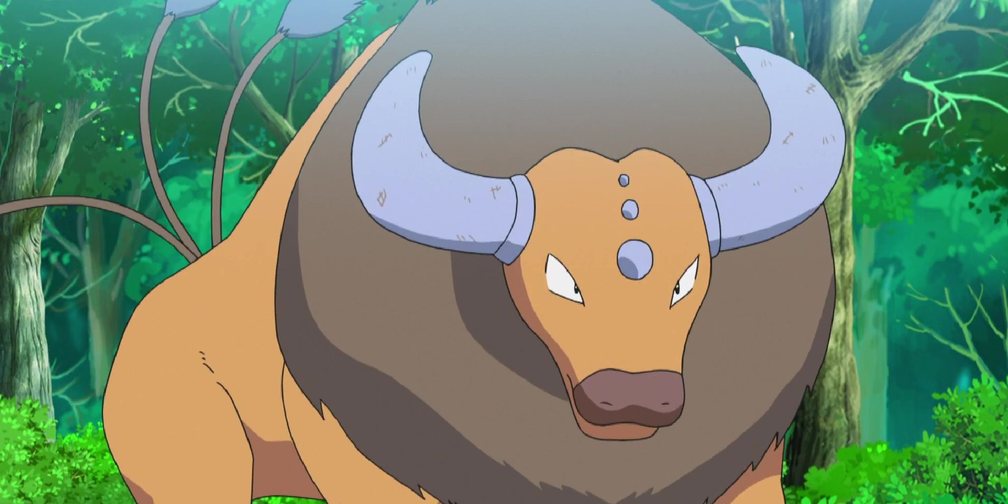 A Tauros getting ready to charge in a forest
