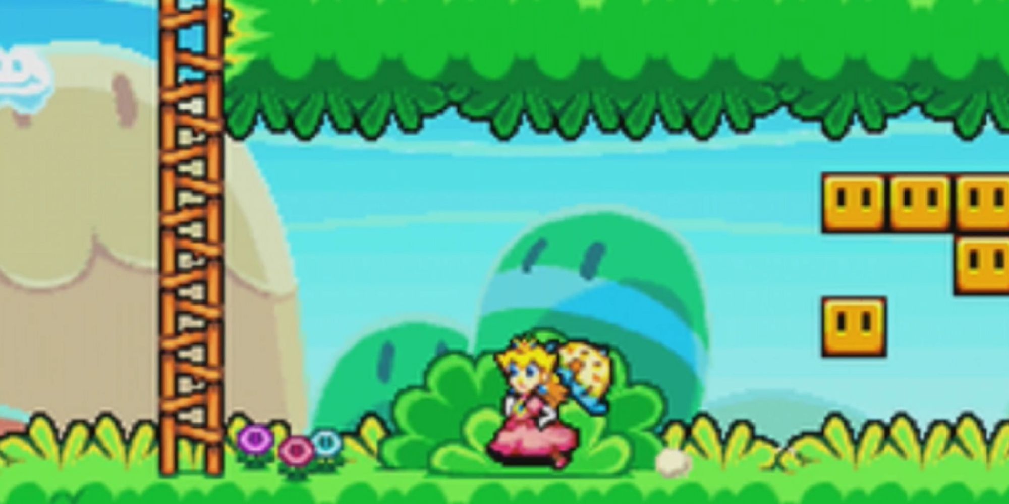 Princess Peach during a grasslands level in Super Princess Peach for DS