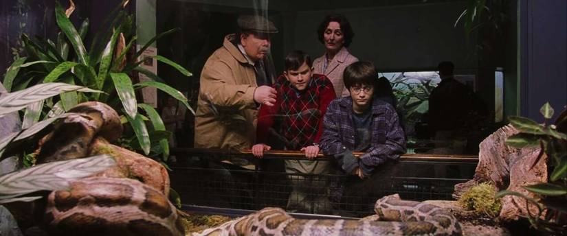 Harry Potter and the Dursleys at London Zoo's Reptile House in The Sorcerer's Stone