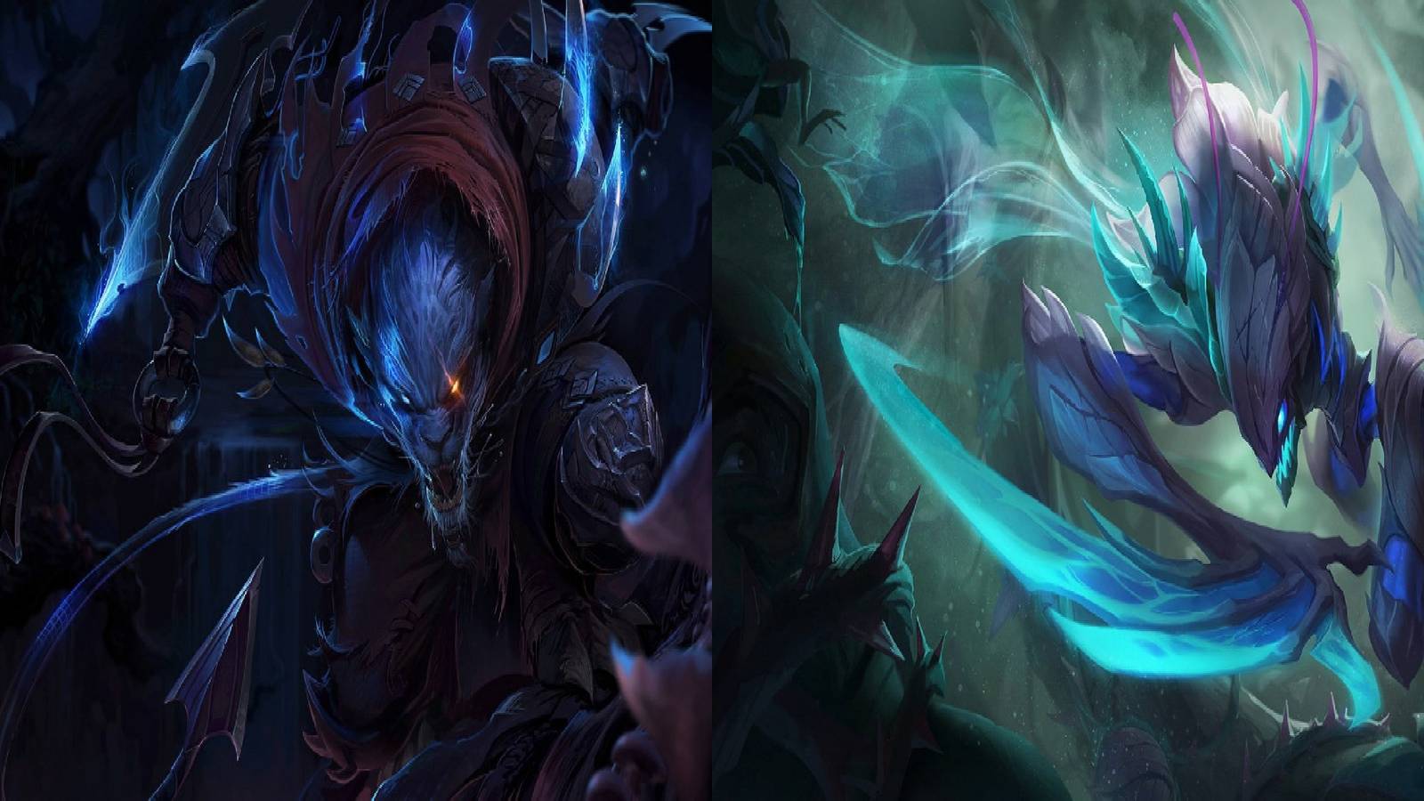 Resizer_16451433305680